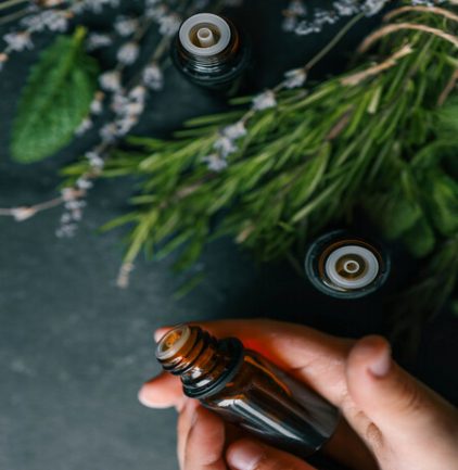Essential oil in hands close-up with natural herbs.